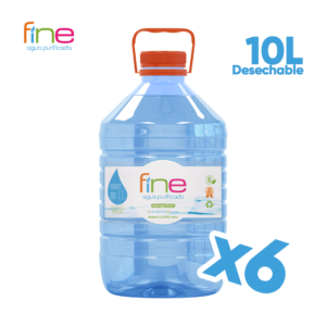 Pack 6 Desechables 10L